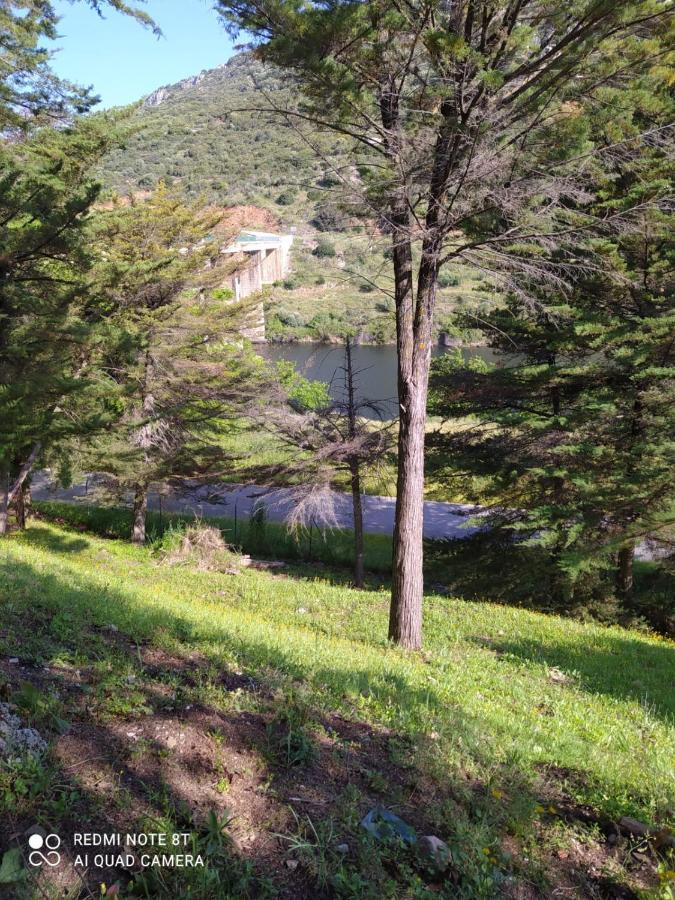 Casa En Plena Naturaleza. Valdecanas de Tajo Екстериор снимка